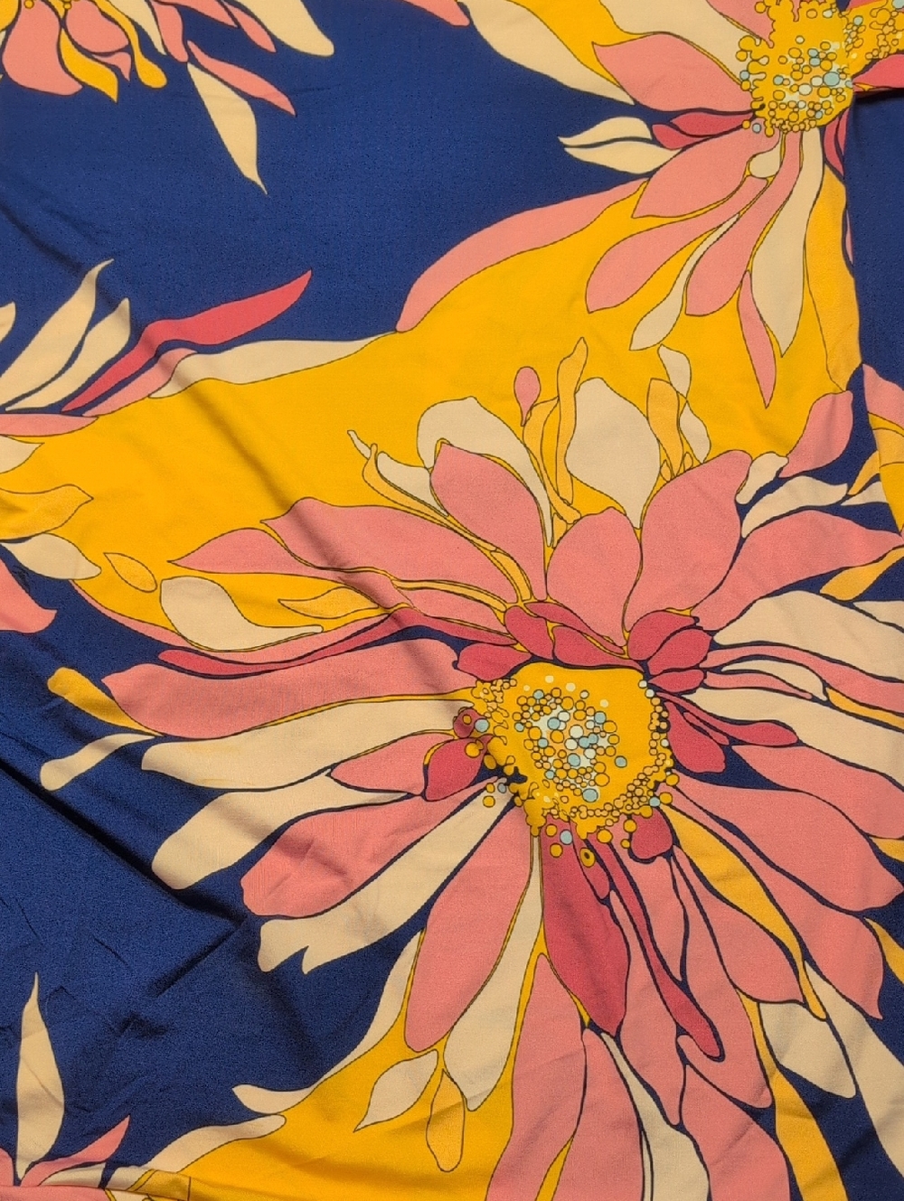 Tina Turk Cover-up